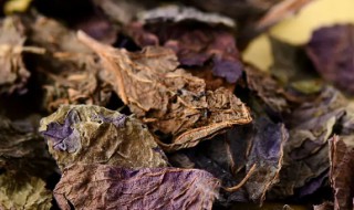 紫苏叶能泡水天天喝吗 紫苏叶子可以泡水喝吗