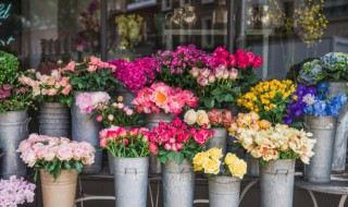 第2字树第4字花的四字成语 第二个字带花的四字成语