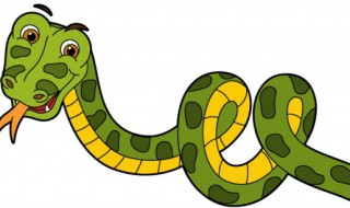 梦到蛇进屋预示着什么（梦见蛇进屋预示什么）