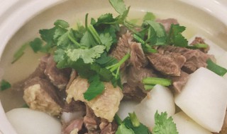 牛肉炖萝卜里还需要放什么 牛肉炖萝卜萝卜什么时候放入