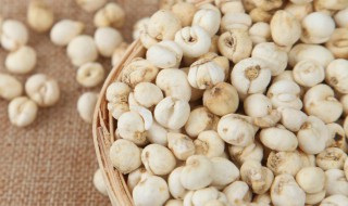 平贝母的营养价值（平贝母的营养价值及功效）