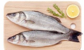 鲈鱼为何要少吃（鲈鱼为何要少吃柳州医药有限公司股票）