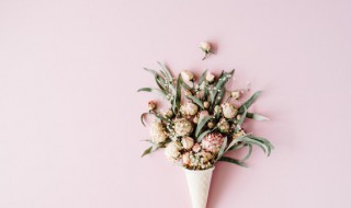 不可不知的送花小技巧（送花小常识）