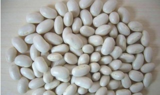 白芸豆怎么吃减肥最佳 白芸豆怎么吃减肥最佳多少一盒