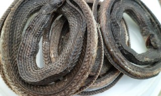 乌梢蛇的营养价值