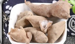 五倍子的营养价值 五倍子的营养价值乐哈健康网