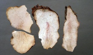 茯苓的营养价值（茯苓的营养价值及功效）