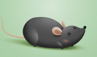 老鼠能听懂人话吗（老鼠能听得懂人话吗）