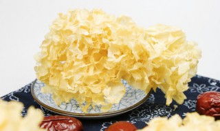 新鲜银耳放冰箱冷冻可以保存多久（新鲜银耳放冰箱冷冻可以保存多久能吃）