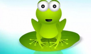 蟾蜍是什么动物类型 蟾蜍是属于哪类动物