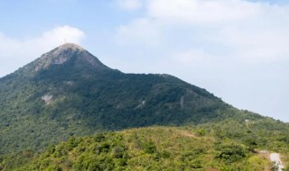 梅沙尖海拔多少米 梅沙尖海拔多少米高