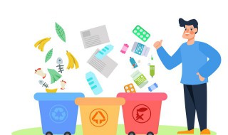 木签属于什么垃圾（木签是干垃圾吗）