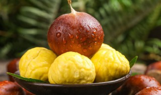 板栗是坚果的一种吗（跟板栗形状的坚果）