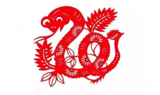 欲钱买浑身长毛的动物是什么生肖（要钱去买身上毛多的生肖动物）