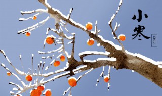 小寒的含义和风俗 小寒象征着什么