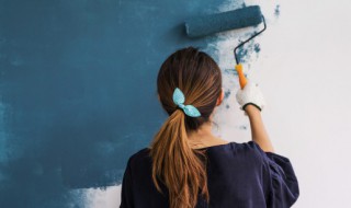 生石灰和熟石灰的区别(生石灰和熟石灰的区别是什么)