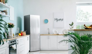 冰箱冷冻室结冰门打不开怎么办（冰箱冷藏室结冰门打不开怎么办）