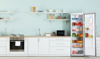 冰箱内胆用哪种材料好 冰柜内胆什么材料的好