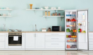 冰箱里都是虫子怎么办（冰箱里有虫子怎么办）