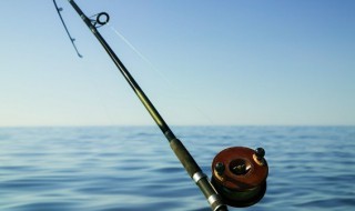 夏天热带鱼水温多少度（热带鱼夏天温度是多少）