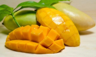 芒果可以放在冰箱里保鲜吗 芒果可以放在冰箱里保鲜吗?