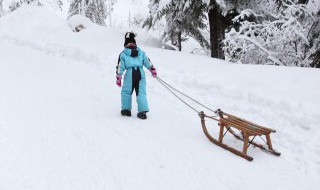 滑雪板上固定器的别称是什么 雪板上固定器的别称是?