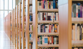 锻的组词 锻的组词是什么