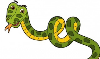 马上要考试梦见蛇预示着什么（快要考试了梦见蛇）