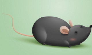 梦到驱赶老鼠预示着什么 梦到驱赶老鼠预示着什么2021.10月28日