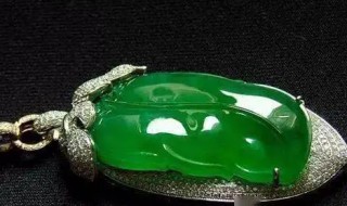 翡翠最贵的品种（哪种翡翠最贵）