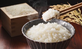 热饭需要几分钟（微波炉热饭需要几分钟）