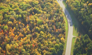四个季节各有什么特点 四个季节特征