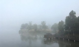 夏天早上为什么会出现大雾（夏天早上会有雾吗）