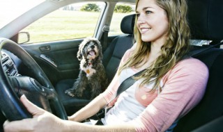 汽车电瓶充电多长时间充满 汽车电瓶充电多长时间充满有显示吗