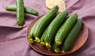 黄瓜如何保存时间长 黄瓜如何保存时间长一点