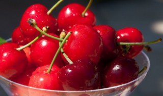 樱桃如何保存时间长（樱桃怎么能保存时间长久）