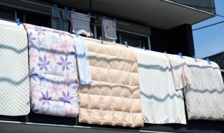 羊绒被可以晒太阳吗（羊绒被能不能晒）