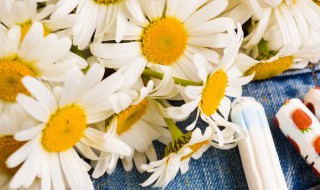 菊花的花语和寓意和象征（菊花的花语及寓意）