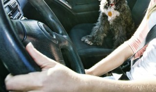 汽车空调出风口怎么清洗（汽车空调出风口怎样清洗）