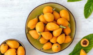 大花枇杷的养殖方法(盆栽枇杷的养殖方法)