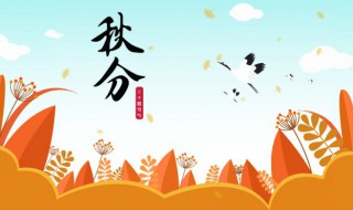 白露之后是哪个节气（白露之后的节气是哪一个）