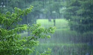 梅雨是什么节气（梅雨是什么节气开始的）