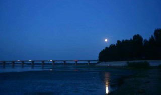 月夜反应的节气是什么 月夜反应的节气