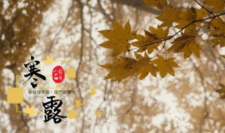 寒露节气是什么时候(寒露节气在什么时候)