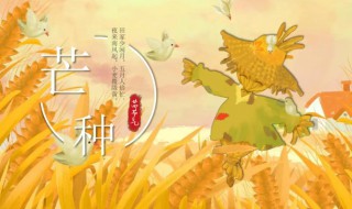 芒种节气该种什么（芒种节气可以种什么）