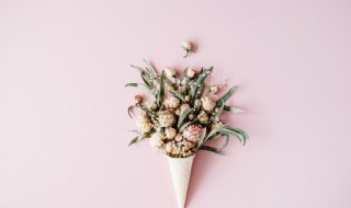 煮熟的花种为什么不能发芽（为什么煮熟的种子不能发芽）