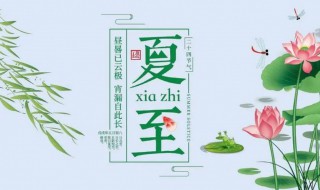 夏至是24节气的第几个节气 夏至节气是夏季的第几个节气