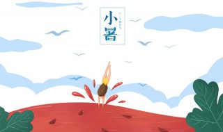 处暑节气需要注意什么(小暑节气要注意什么)