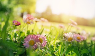 春天有多少个节气 春天几个节气