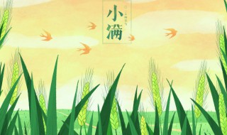 小满节气代表什么意思 节气小满的含义是什么意思